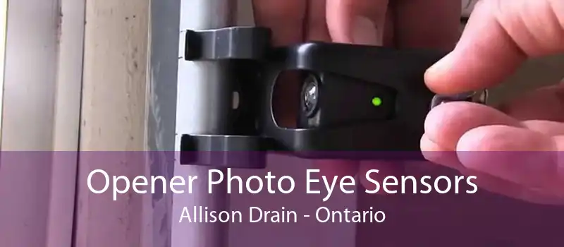 Opener Photo Eye Sensors Allison Drain - Ontario