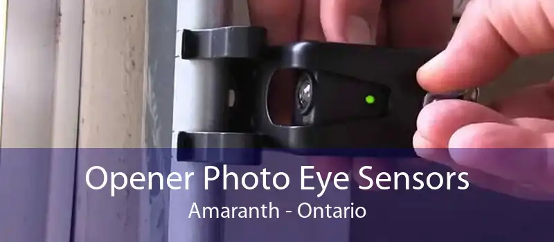 Opener Photo Eye Sensors Amaranth - Ontario