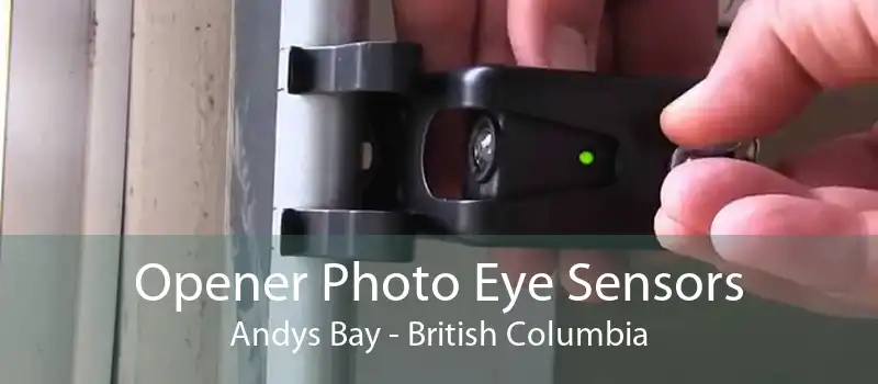Opener Photo Eye Sensors Andys Bay - British Columbia