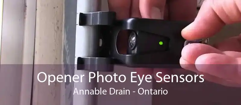Opener Photo Eye Sensors Annable Drain - Ontario