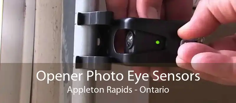 Opener Photo Eye Sensors Appleton Rapids - Ontario
