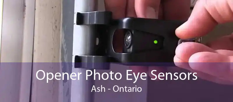 Opener Photo Eye Sensors Ash - Ontario