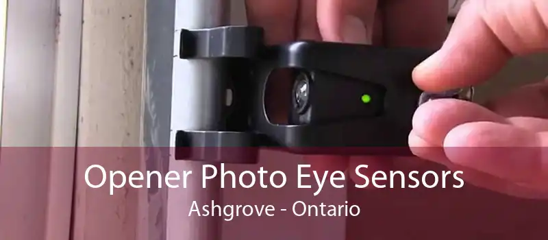 Opener Photo Eye Sensors Ashgrove - Ontario