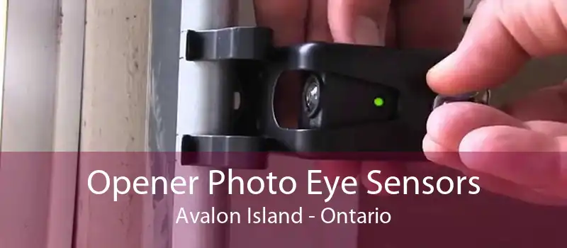 Opener Photo Eye Sensors Avalon Island - Ontario