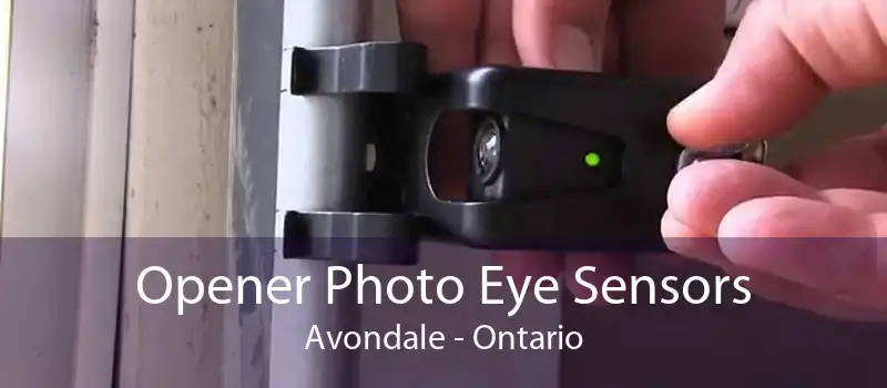 Opener Photo Eye Sensors Avondale - Ontario