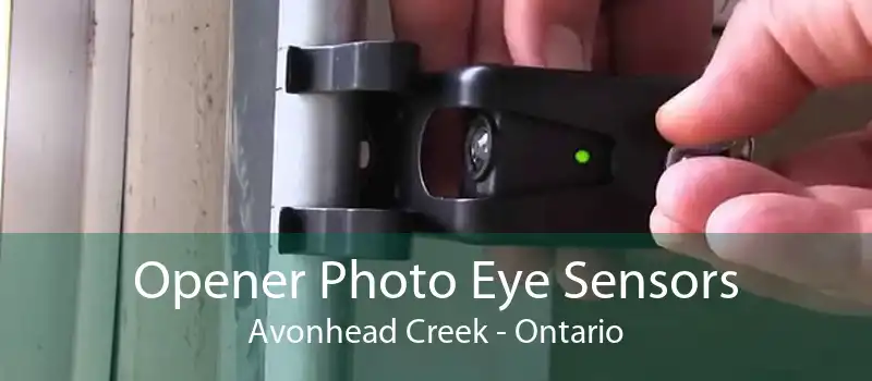 Opener Photo Eye Sensors Avonhead Creek - Ontario
