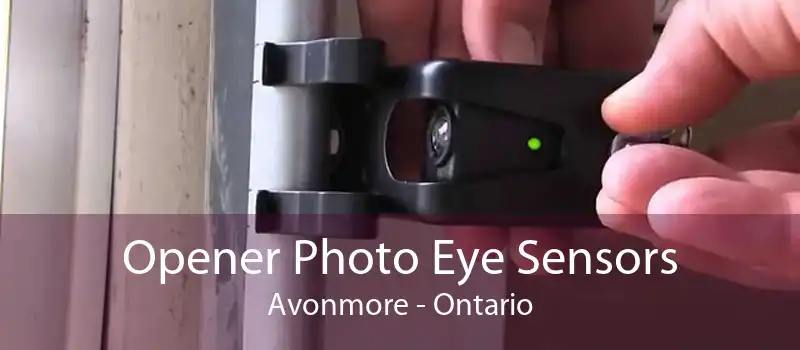 Opener Photo Eye Sensors Avonmore - Ontario