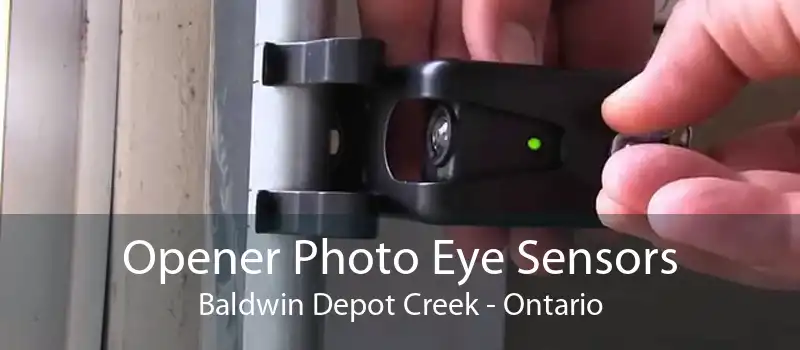 Opener Photo Eye Sensors Baldwin Depot Creek - Ontario