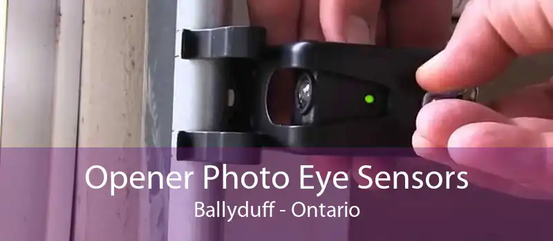 Opener Photo Eye Sensors Ballyduff - Ontario