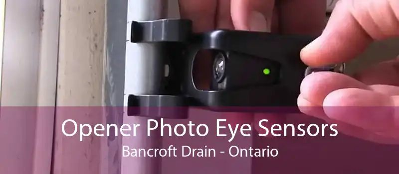 Opener Photo Eye Sensors Bancroft Drain - Ontario