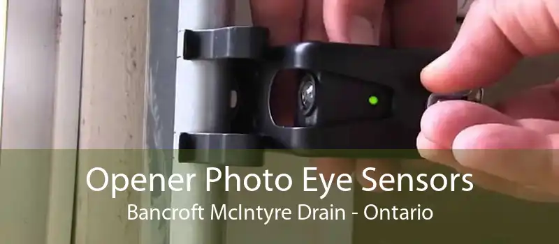 Opener Photo Eye Sensors Bancroft McIntyre Drain - Ontario