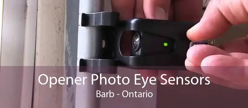 Opener Photo Eye Sensors Barb - Ontario