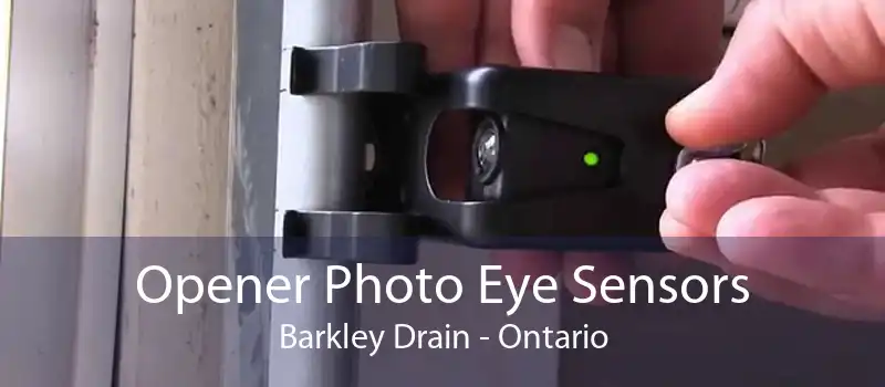 Opener Photo Eye Sensors Barkley Drain - Ontario