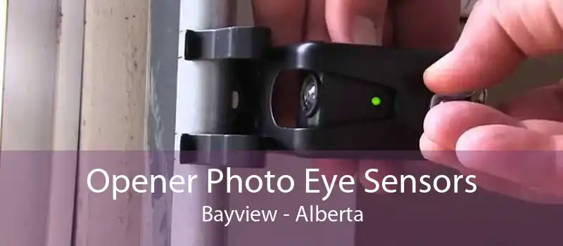 Opener Photo Eye Sensors Bayview - Alberta