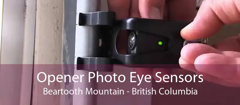 Opener Photo Eye Sensors Beartooth Mountain - British Columbia