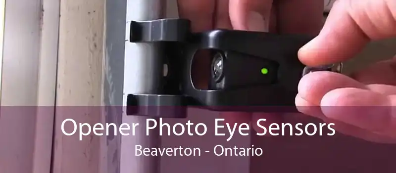 Opener Photo Eye Sensors Beaverton - Ontario