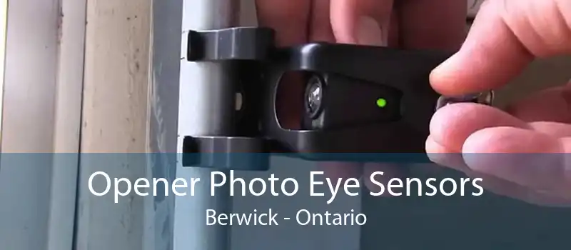 Opener Photo Eye Sensors Berwick - Ontario