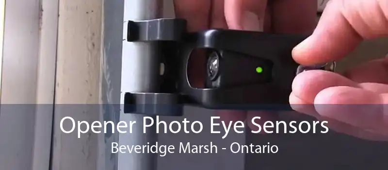 Opener Photo Eye Sensors Beveridge Marsh - Ontario