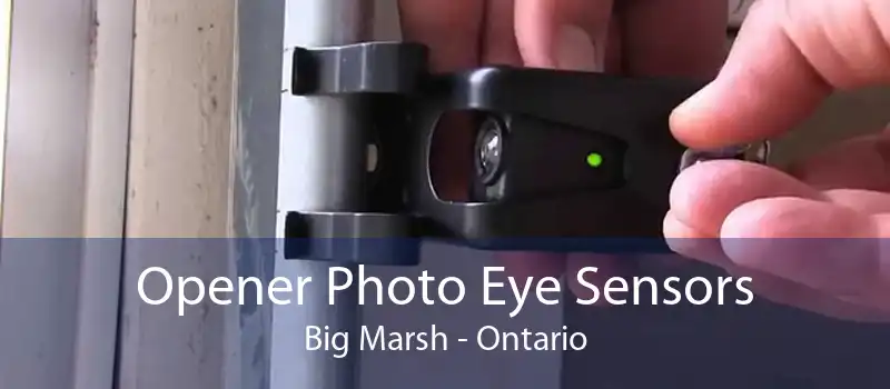 Opener Photo Eye Sensors Big Marsh - Ontario