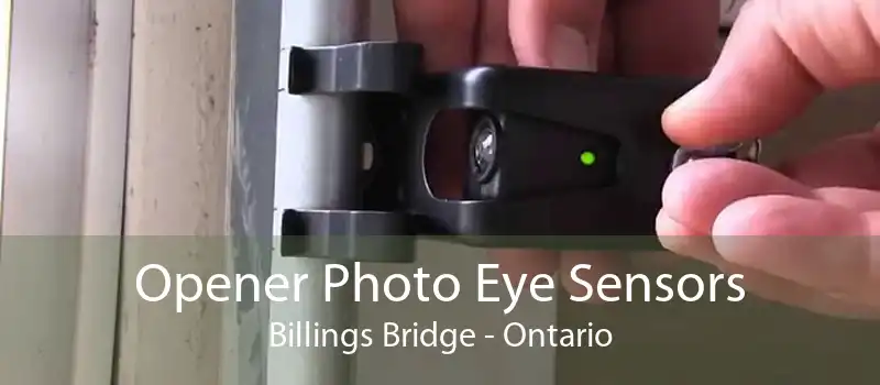 Opener Photo Eye Sensors Billings Bridge - Ontario