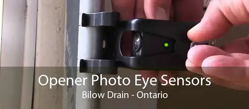 Opener Photo Eye Sensors Bilow Drain - Ontario