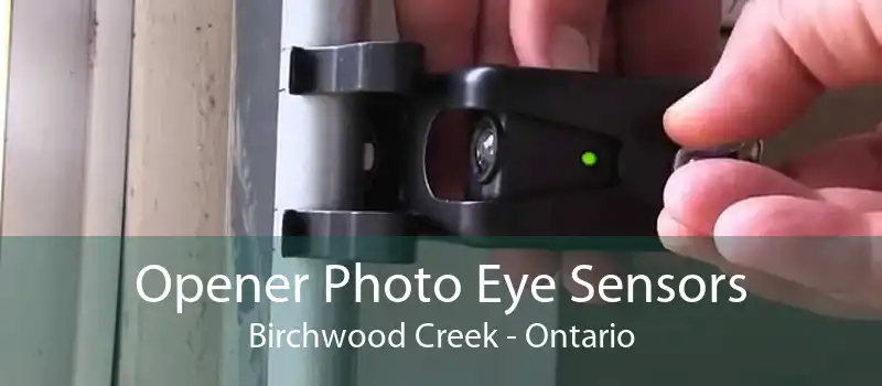 Opener Photo Eye Sensors Birchwood Creek - Ontario