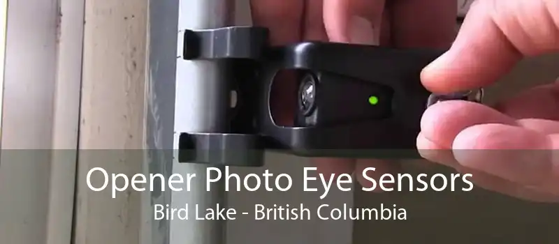 Opener Photo Eye Sensors Bird Lake - British Columbia