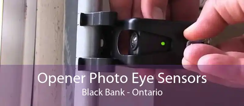 Opener Photo Eye Sensors Black Bank - Ontario
