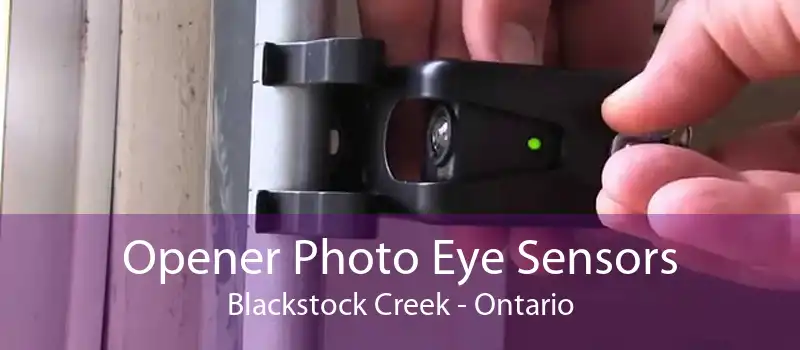 Opener Photo Eye Sensors Blackstock Creek - Ontario