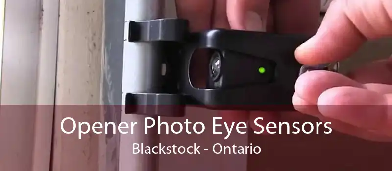 Opener Photo Eye Sensors Blackstock - Ontario