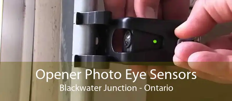 Opener Photo Eye Sensors Blackwater Junction - Ontario