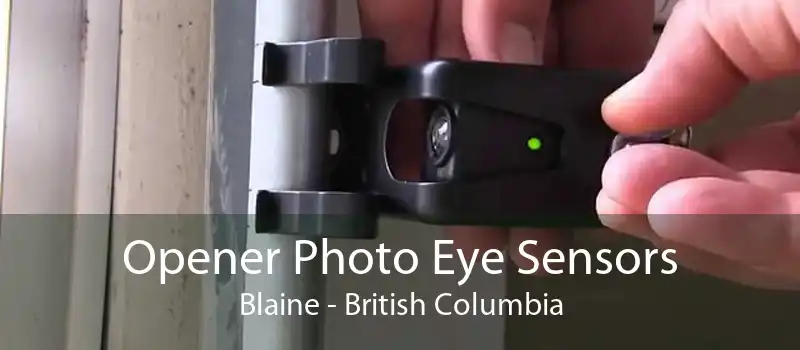 Opener Photo Eye Sensors Blaine - British Columbia