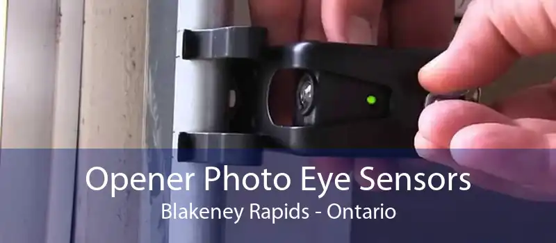 Opener Photo Eye Sensors Blakeney Rapids - Ontario