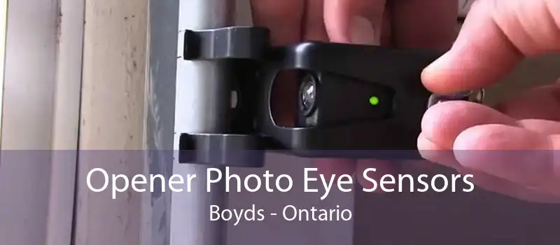 Opener Photo Eye Sensors Boyds - Ontario