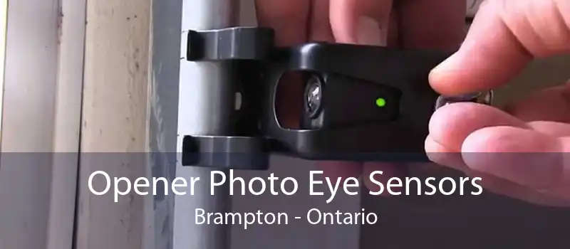 Opener Photo Eye Sensors Brampton - Ontario