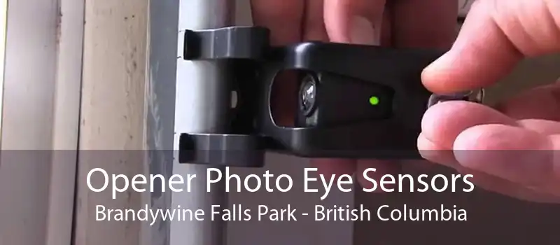Opener Photo Eye Sensors Brandywine Falls Park - British Columbia