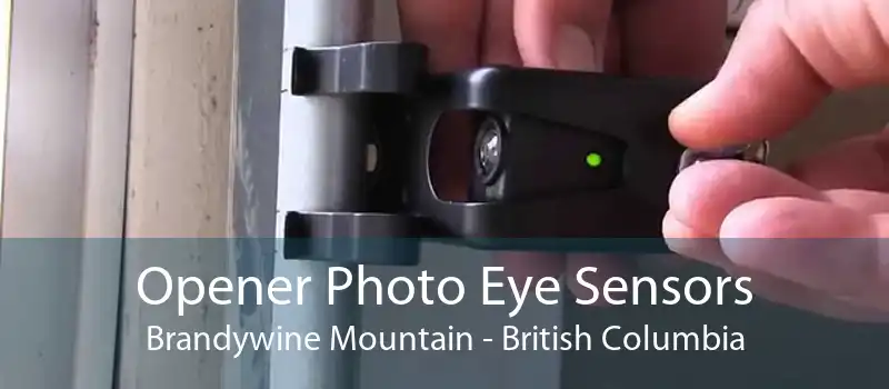 Opener Photo Eye Sensors Brandywine Mountain - British Columbia