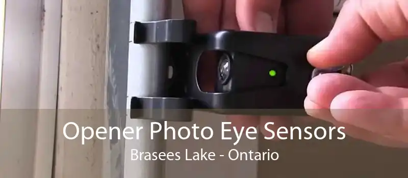 Opener Photo Eye Sensors Brasees Lake - Ontario