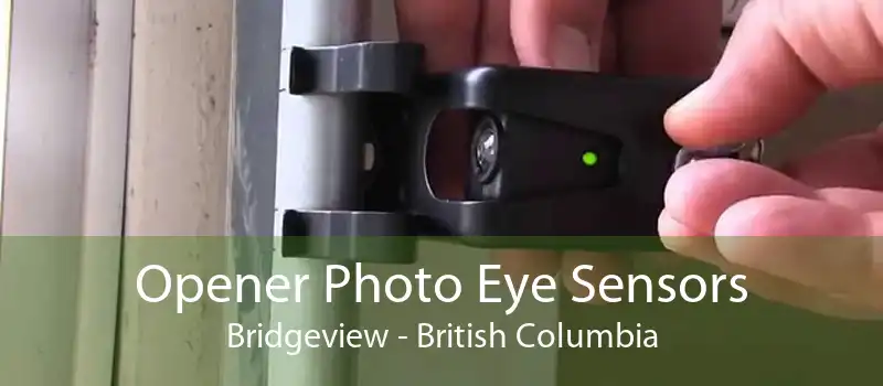 Opener Photo Eye Sensors Bridgeview - British Columbia