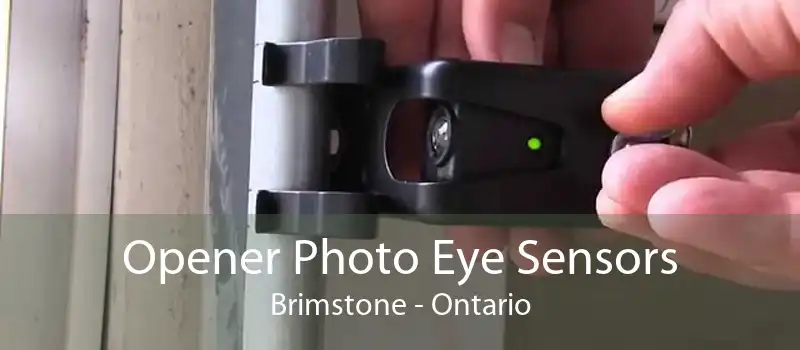 Opener Photo Eye Sensors Brimstone - Ontario