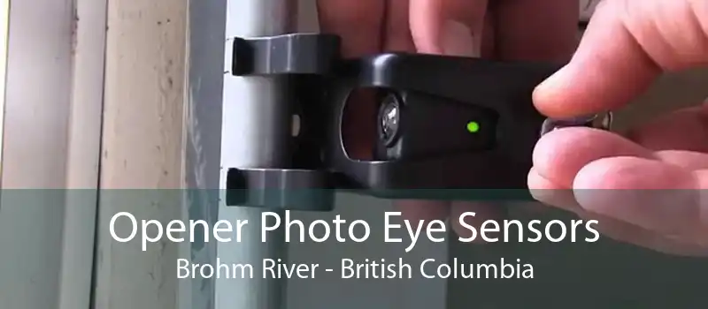 Opener Photo Eye Sensors Brohm River - British Columbia