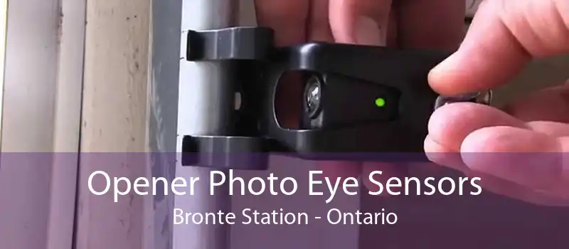 Opener Photo Eye Sensors Bronte Station - Ontario