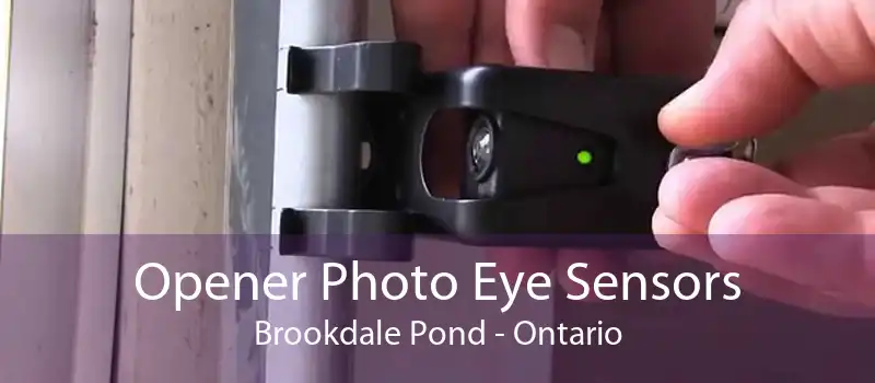 Opener Photo Eye Sensors Brookdale Pond - Ontario