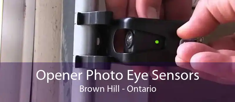 Opener Photo Eye Sensors Brown Hill - Ontario