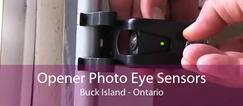 Opener Photo Eye Sensors Buck Island - Ontario