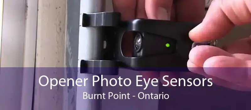 Opener Photo Eye Sensors Burnt Point - Ontario