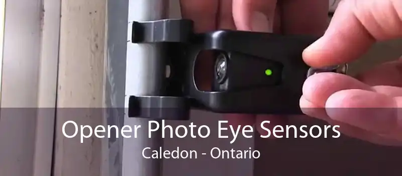 Opener Photo Eye Sensors Caledon - Ontario