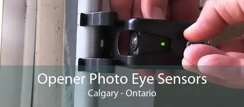 Opener Photo Eye Sensors Calgary - Ontario