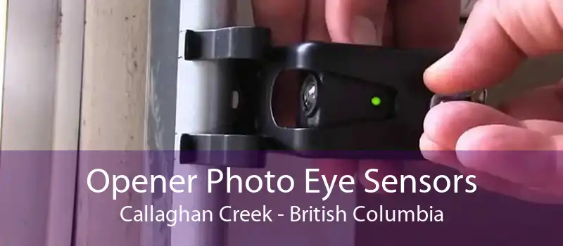Opener Photo Eye Sensors Callaghan Creek - British Columbia