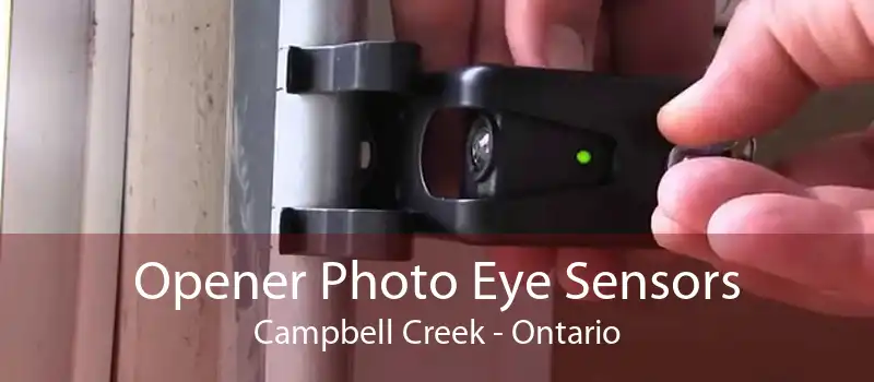 Opener Photo Eye Sensors Campbell Creek - Ontario
